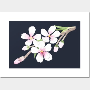 Almond Blossom Posters and Art